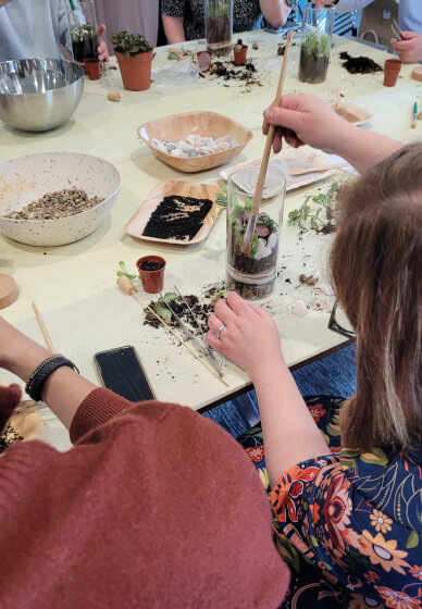 Terrarium Making Workshop - Leeds Team Building