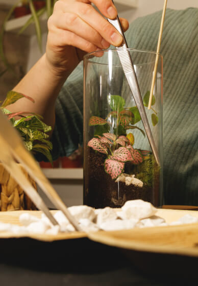 Terrarium Making Workshop - London, Groups and Team Building