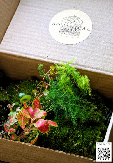 Terrarium Therapy Workshop