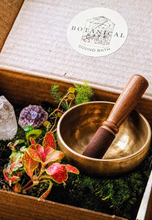 Terrarium Therapy Workshop and Sound Bath Experience