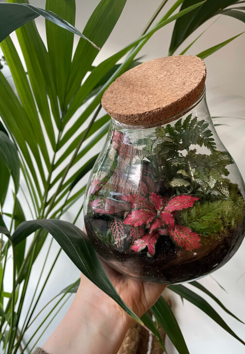 Terrarium Workshop