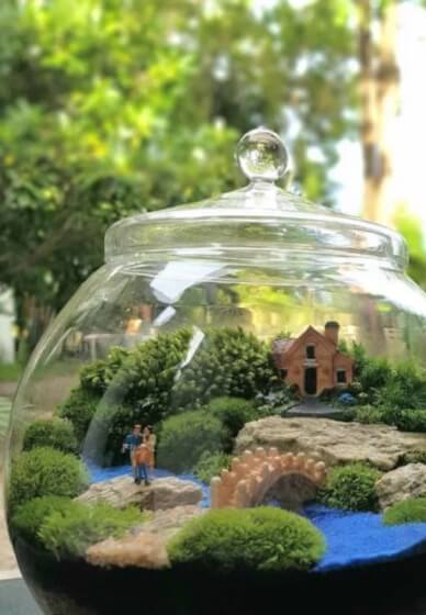 Terrarium Workshop