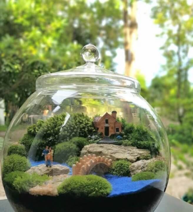 Terrarium Workshop
