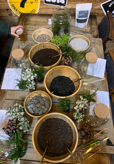 Terrarium Workshop