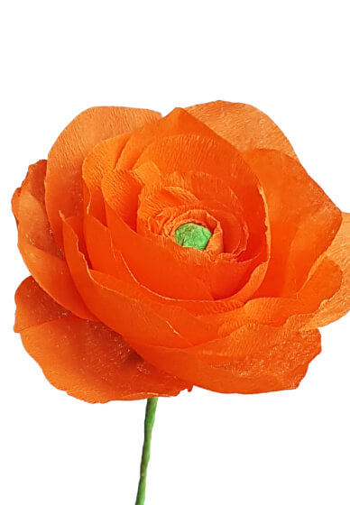 Paper Flower Making Workshop for Adults and Kids