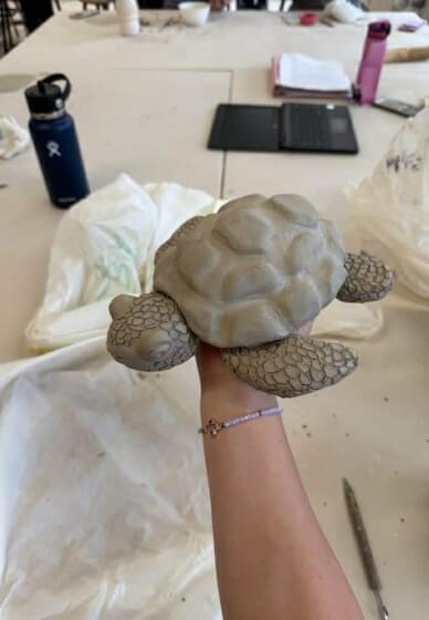 Tortoise Pottery Workshop