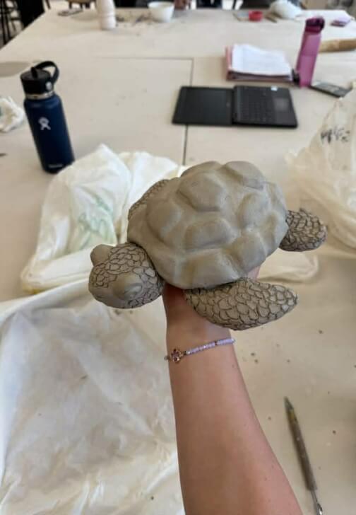 Tortoise Pottery Workshop