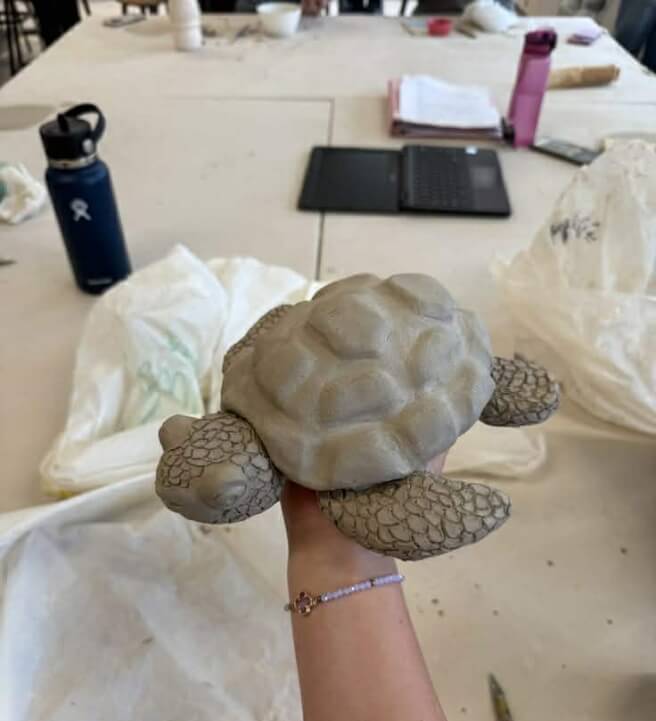Tortoise Pottery Workshop