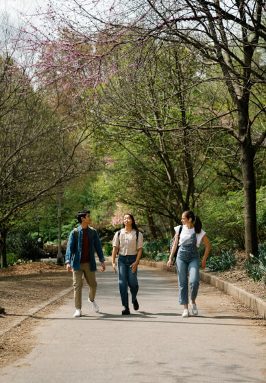 Walk and Talk in Italian Speaking Experience