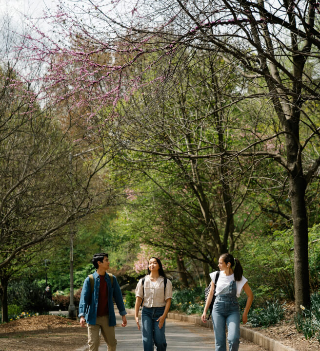 Walk and Talk in Italian Speaking Experience