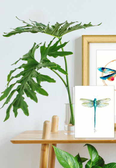 Watercolour Dragonfly Painting Workshop