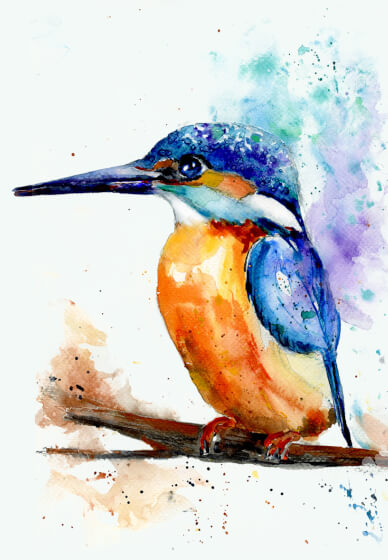 Watercolour Kingfisher Art Class