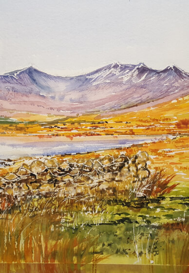 Watercolour Paint Class for Improvers