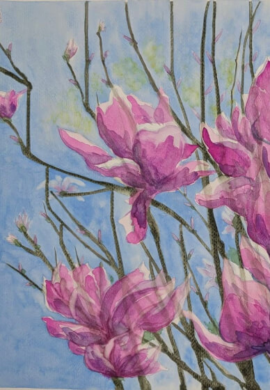 Watercolour Summer Course