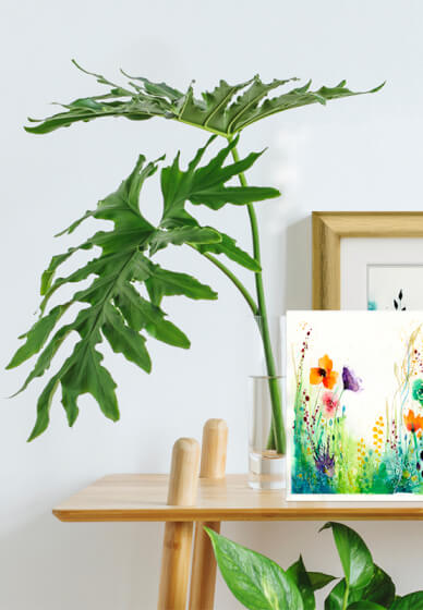 Watercolour Wildflower Painting Workshop