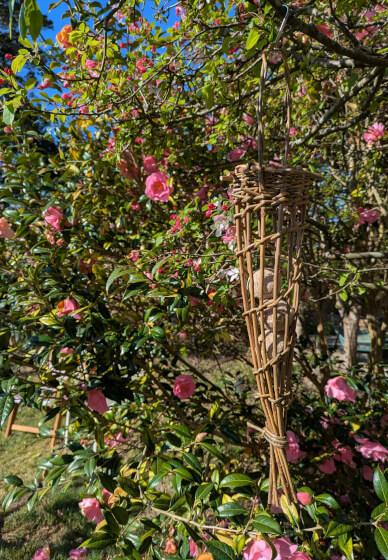 Weave a Willow Bird Feeder Workshop