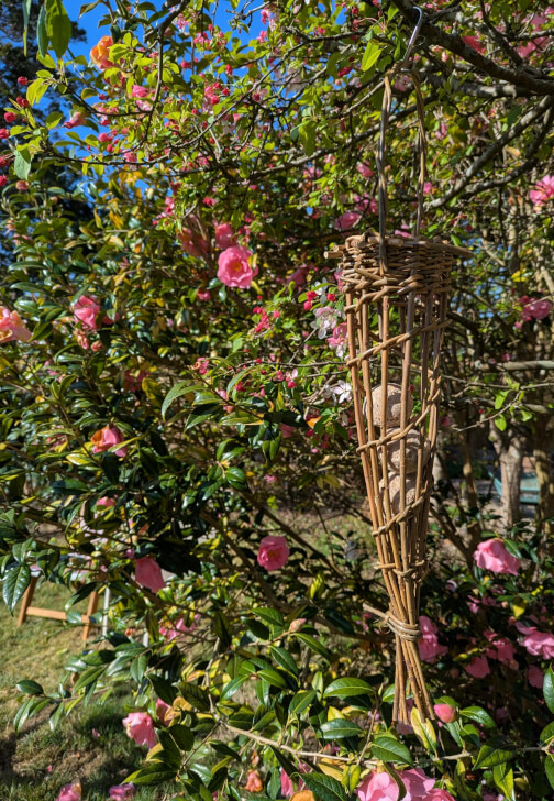 Weave a Willow Bird Feeder Workshop