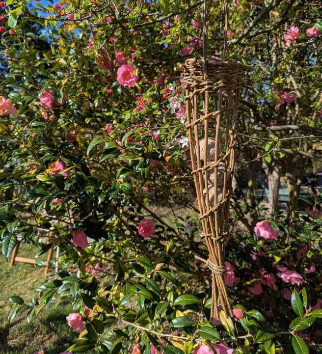 Weave a Willow Bird Feeder Workshop