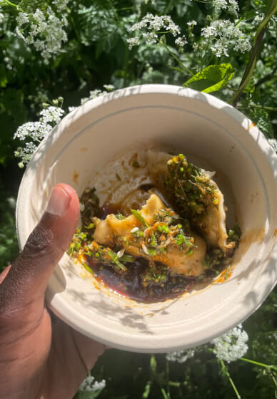 Wild Foraging Experience: Chinese Dumplings