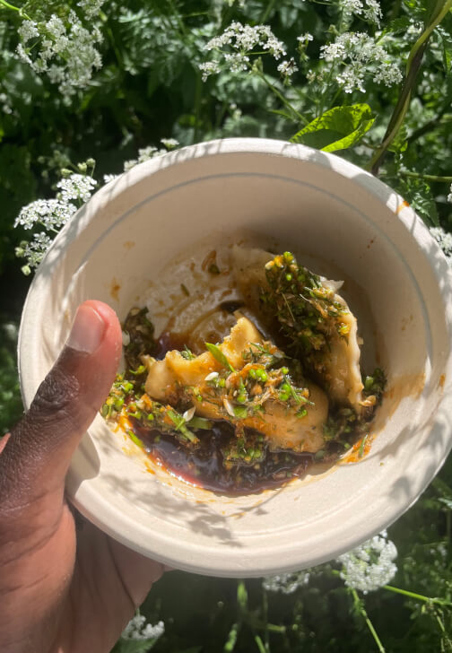 Wild Foraging Experience: Chinese Dumplings