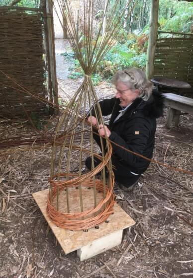 Willow Plant Climber Making Class