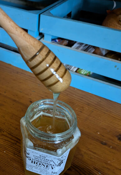 Wood Turning Workshop: Turn a Honey Dipper