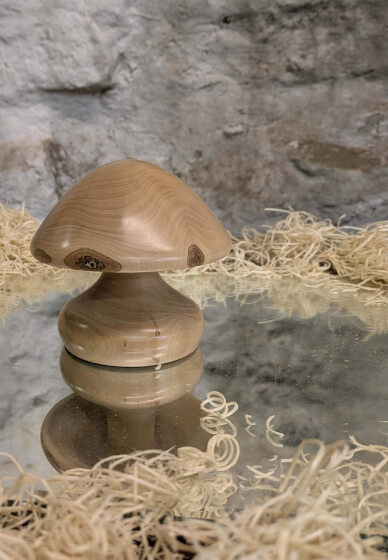 Wood Turning Workshop: Turn a Mushroom