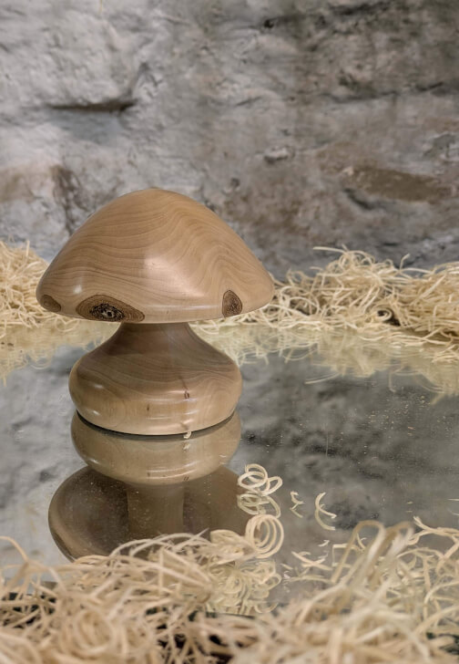 Wood Turning Workshop: Turn a Mushroom