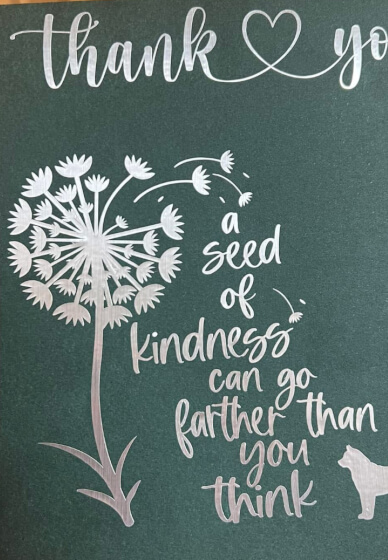 Beginner's Cricut Card Making Workshop