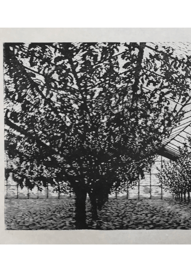3-Day Woodcut Printmaking Course for Beginners