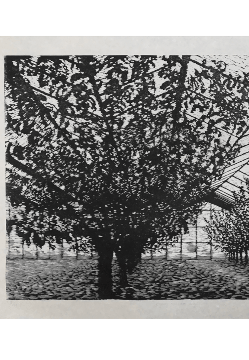 3-Day Woodcut Printmaking Course for Beginners