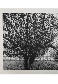 3-Day Woodcut Printmaking Course for Beginners