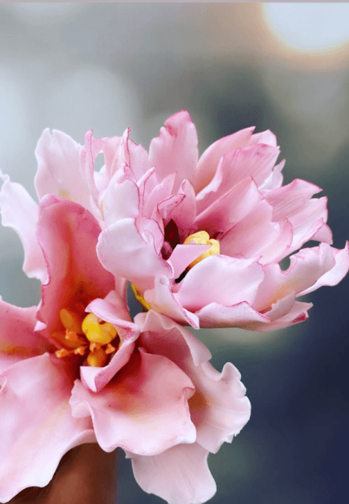 3-Hour Sugar Flowers Taster Class
