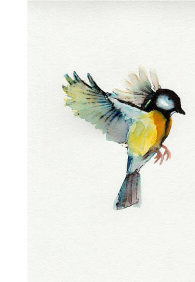 3-Week Watercolour Course