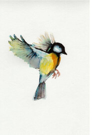 3-Week Watercolour Course