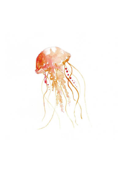 3-Week Watercolour Course