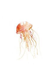 3-Week Watercolour Course