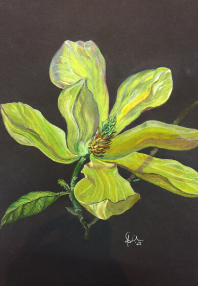 4 Week Oil Painting Course for Beginners