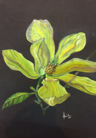 4 Week Oil Painting Course for Beginners