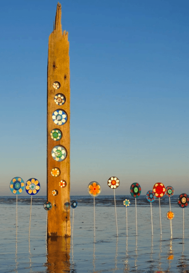 6 Week Creative Therapy Course
