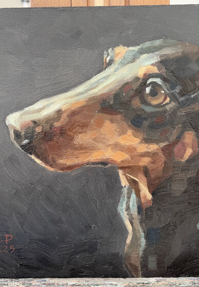 6 Week Painting Course