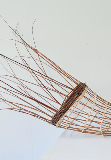 8-Week Contemporary Basketry Course