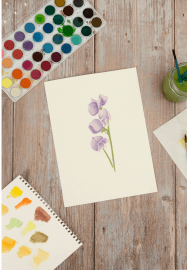 A Creative Day Together On-Demand Sweet Pea Watercolour Class