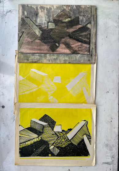 Advanced Woodcut Printing Workshop