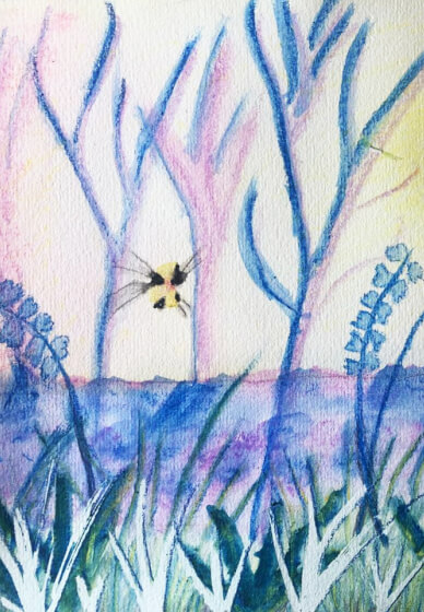 Art Friends: Saturday Watercolour Pencil Art Workshop