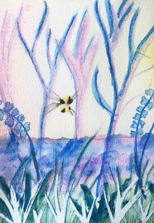 Art Friends: Saturday Watercolour Pencil Art Workshop