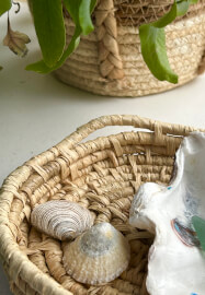 Basket Weaving Workshop