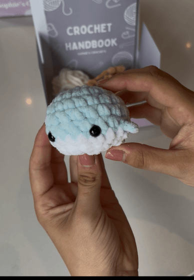 Beginner Amigurumi Crochet Class