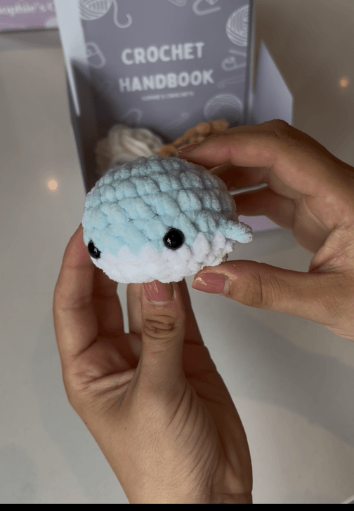 Beginner Amigurumi Crochet Class