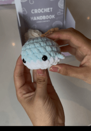 Beginner Amigurumi Crochet Class